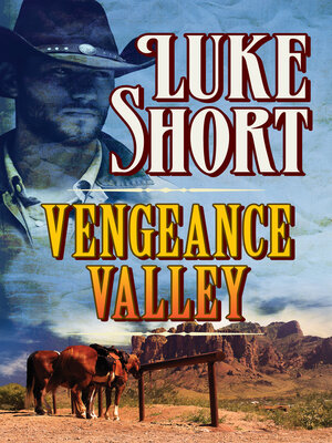 cover image of Vengeance Valley